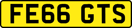 FE66GTS