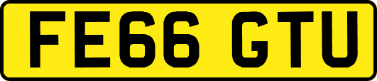 FE66GTU
