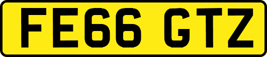 FE66GTZ