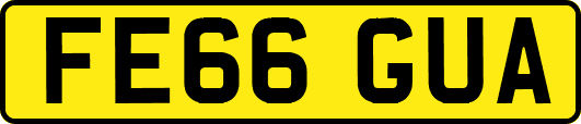 FE66GUA