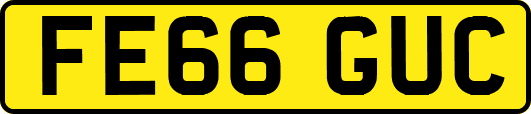 FE66GUC