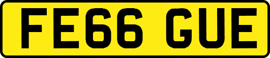 FE66GUE