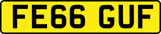 FE66GUF