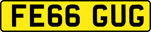 FE66GUG