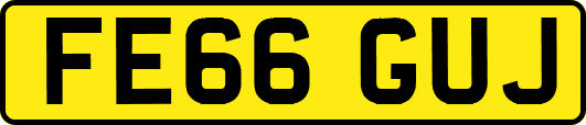 FE66GUJ