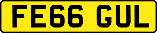 FE66GUL