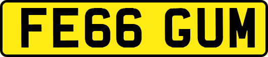 FE66GUM