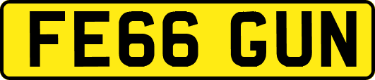 FE66GUN