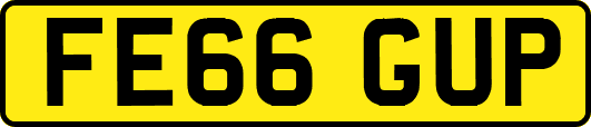 FE66GUP