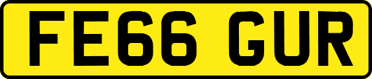 FE66GUR