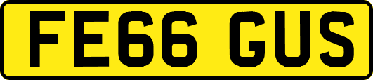 FE66GUS