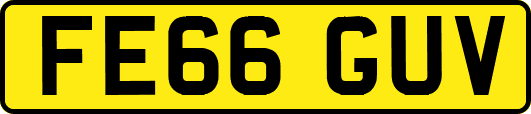 FE66GUV