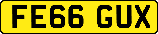 FE66GUX