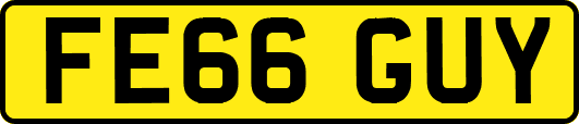FE66GUY