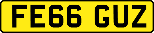 FE66GUZ