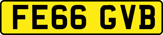 FE66GVB