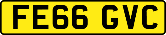 FE66GVC