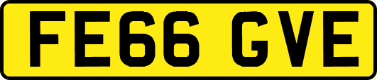 FE66GVE