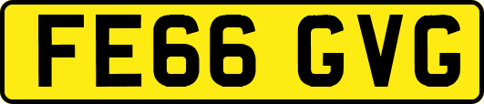FE66GVG