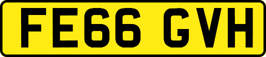 FE66GVH