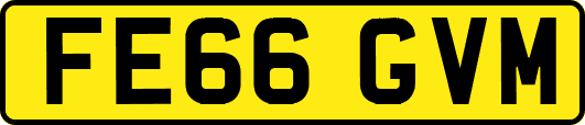 FE66GVM