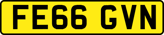 FE66GVN