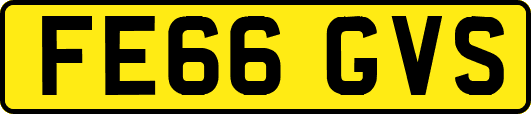 FE66GVS