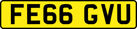 FE66GVU
