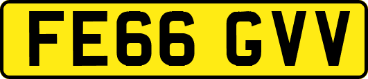 FE66GVV