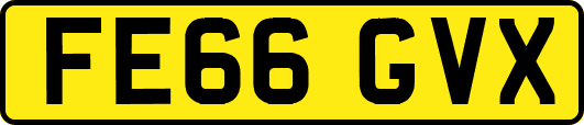 FE66GVX