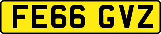 FE66GVZ