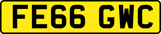 FE66GWC