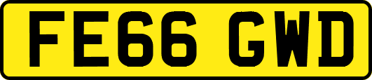 FE66GWD