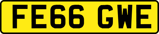 FE66GWE