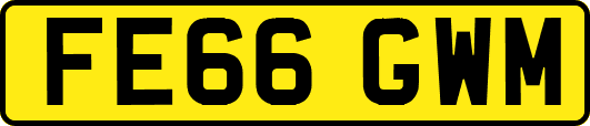 FE66GWM