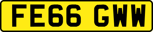 FE66GWW