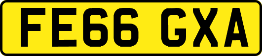 FE66GXA