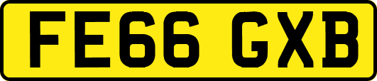 FE66GXB