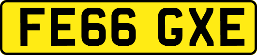 FE66GXE
