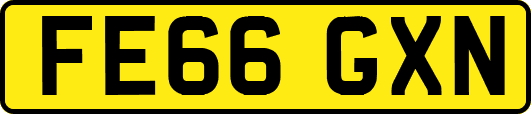FE66GXN