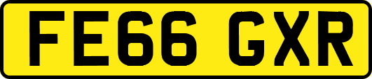 FE66GXR