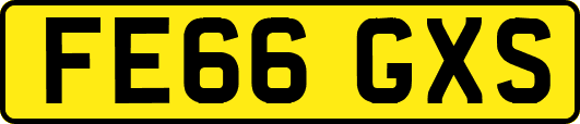 FE66GXS