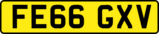 FE66GXV