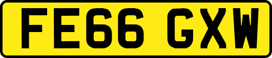 FE66GXW
