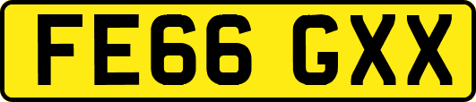 FE66GXX