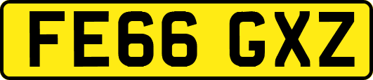 FE66GXZ