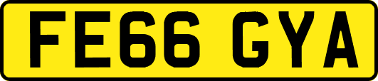 FE66GYA