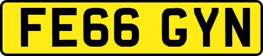 FE66GYN