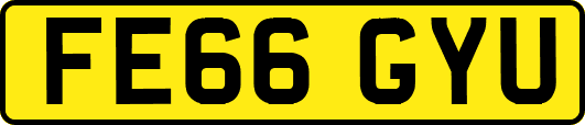 FE66GYU