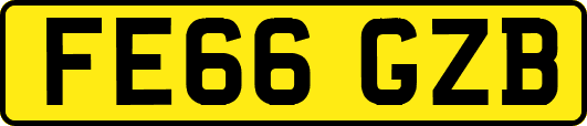 FE66GZB